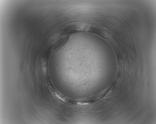 X0000067471154200604101151