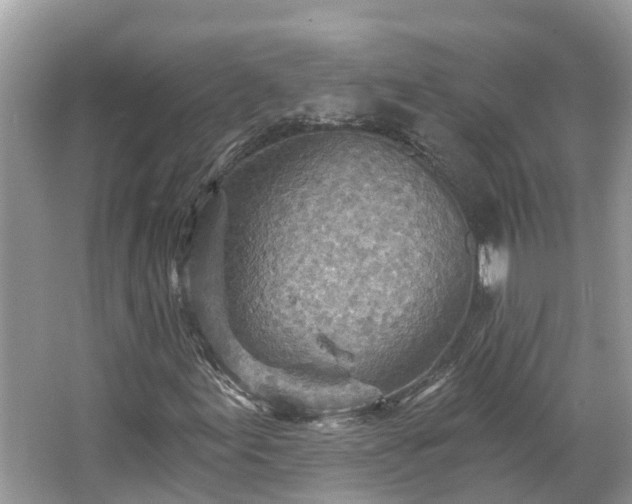 X0000067471155200604101151