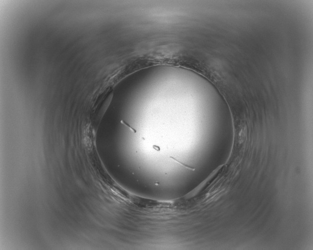 X0000067471156200604101151