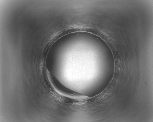 X0000067471157200604101151