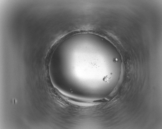 X0000067471160200604101151