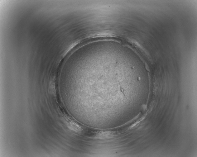 X0000067471162200604101151