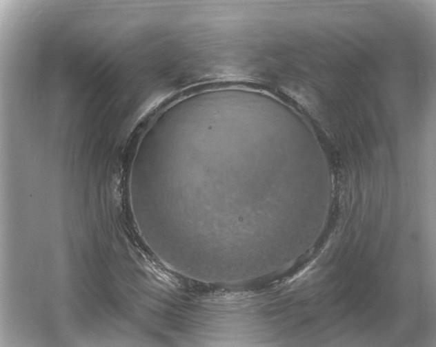 X0000067471163200604101151