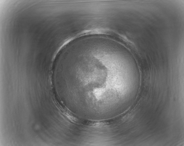 X0000067471166200604101151