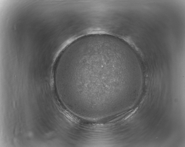 X0000067471167200604101151