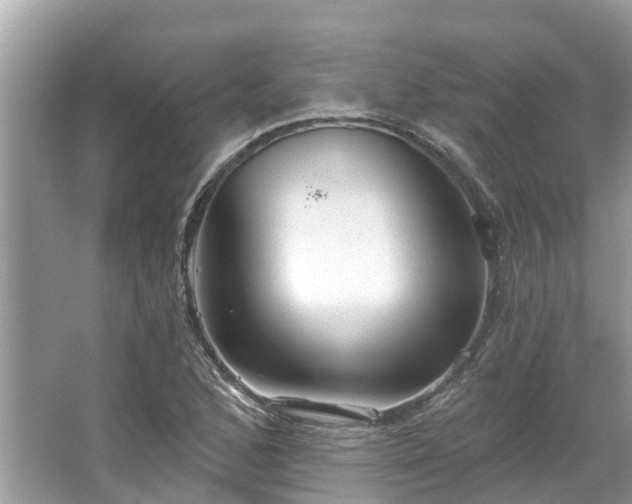 X0000067471168200604101151