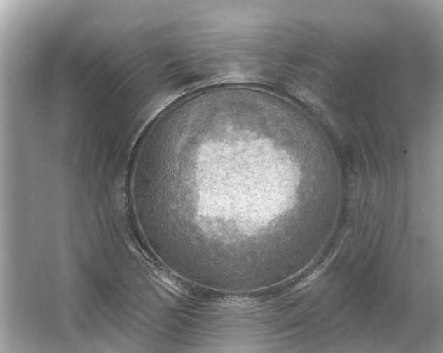 X0000067471170200604101151