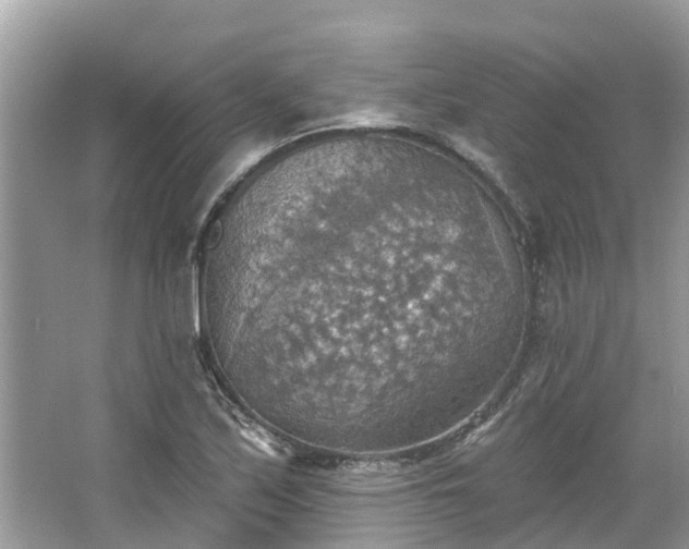 X0000067471171200604101151