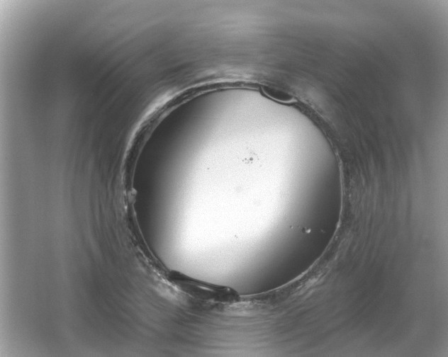 X0000067471172200604101151