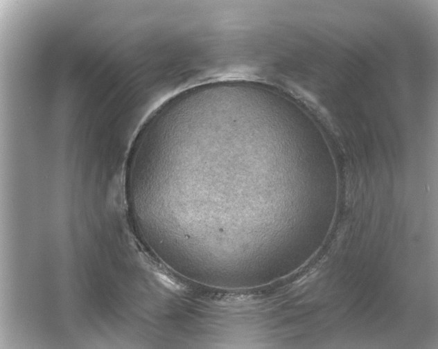 X0000067471174200604101151