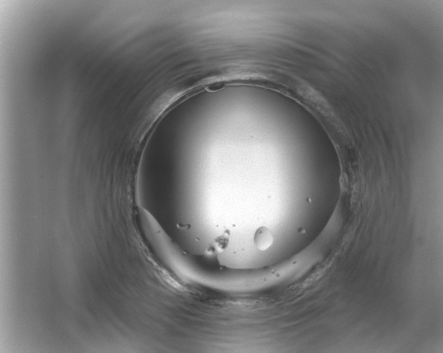 X0000067471177200604101151