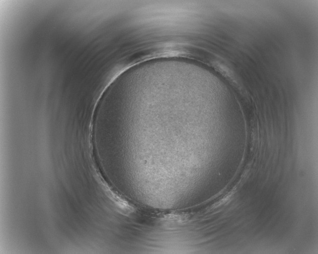 X0000067471178200604101151