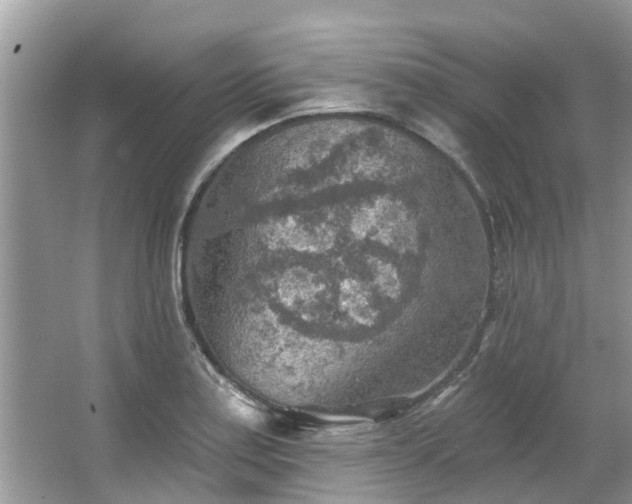 X0000067471179200604101151