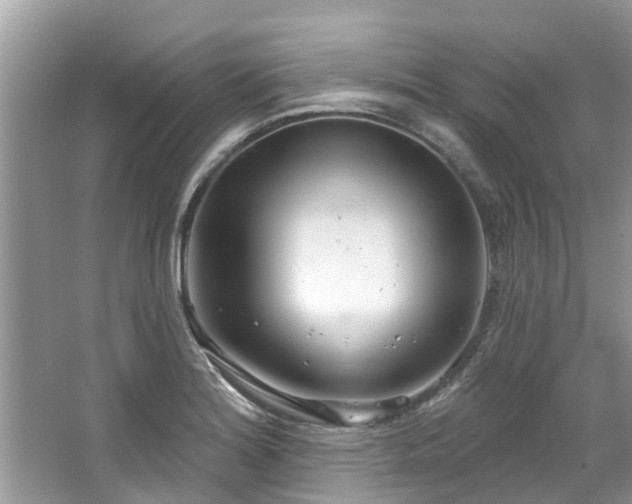 X0000067471180200604101151