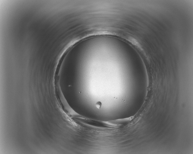 X0000067471181200604101151