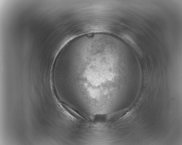 X0000067471182200604101151