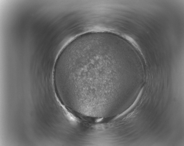 X0000067471183200604101151