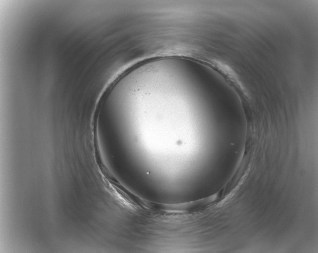 X0000067471184200604101151