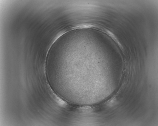 X0000067471186200604101151