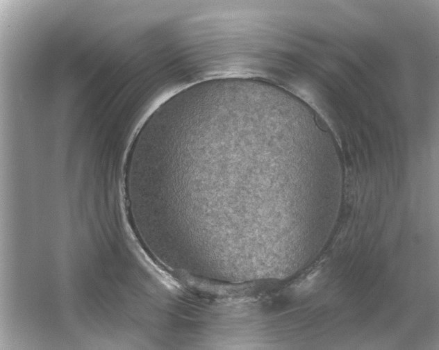 X0000067471187200604101151