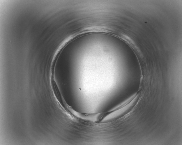 X0000067471188200604101151