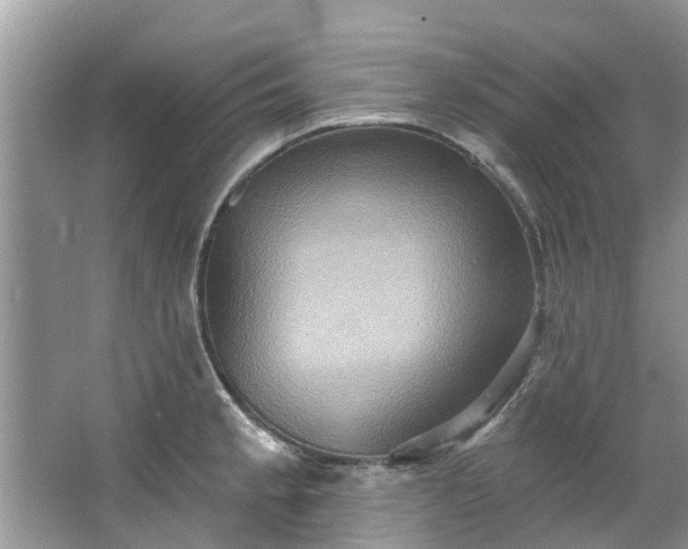 X0000067471189200604101151