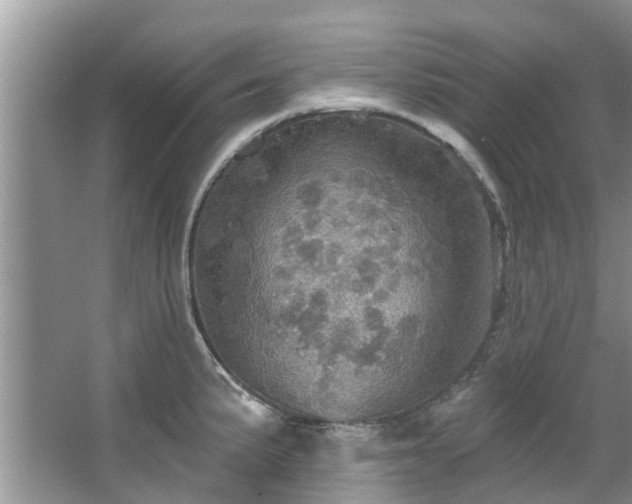 X0000067471191200604101151