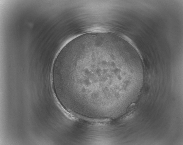 X0000067471195200604101151