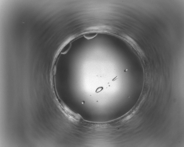 X0000067471196200604101151