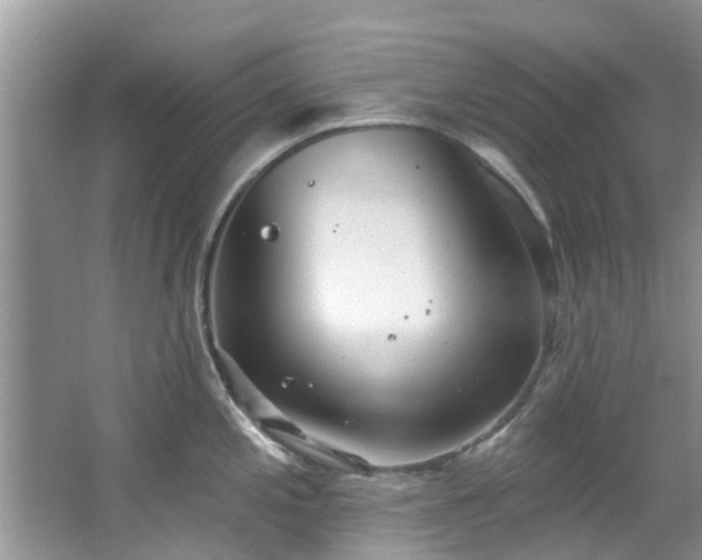 X0000067471197200604101151