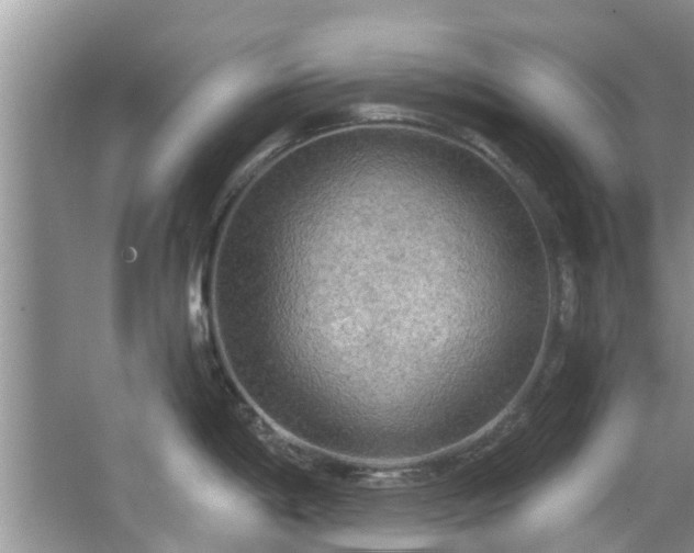 X0000067471198200604101151