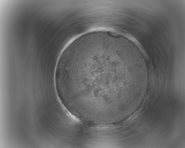 X0000067471199200604101151