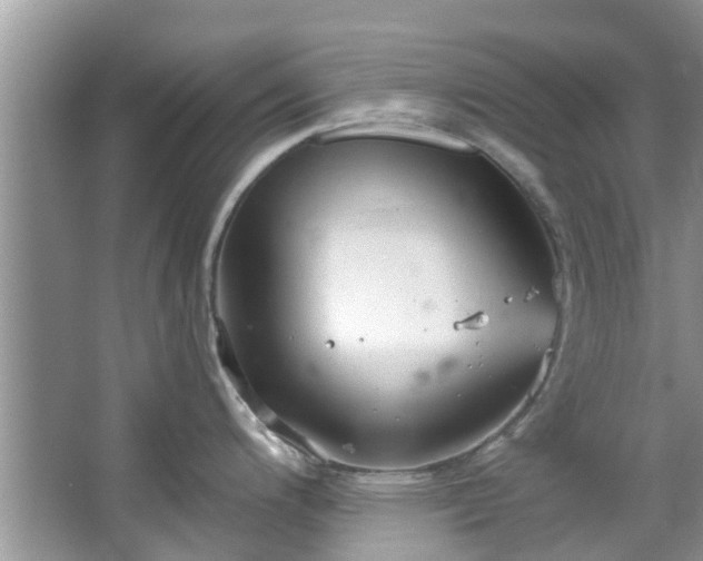 X0000067471200200604101151