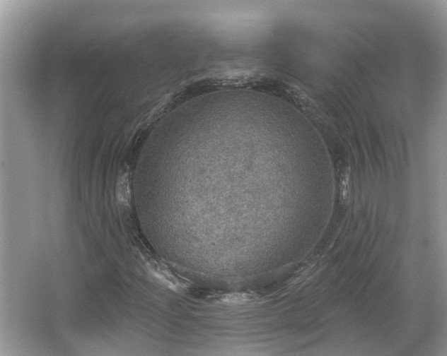 X0000067471204200604101150