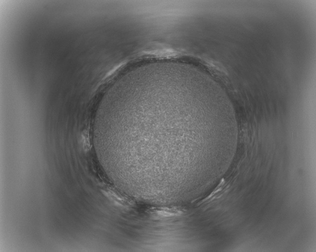 X0000067471205200604101150