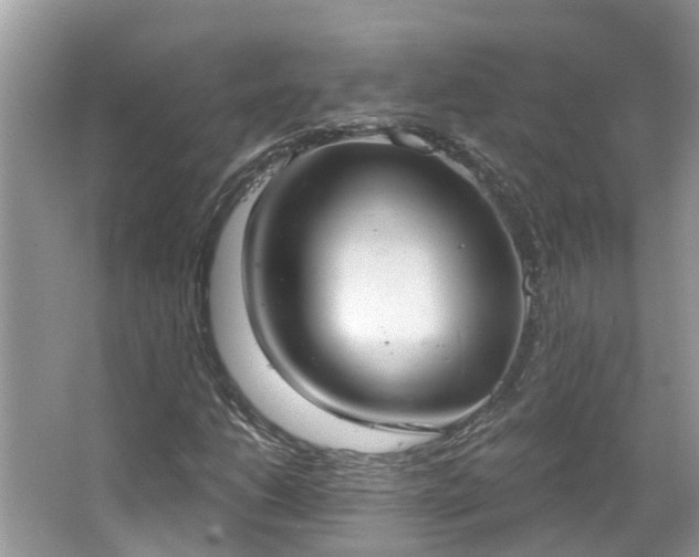 X0000067471206200604101150