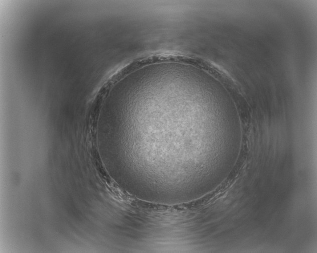 X0000067471207200604101150