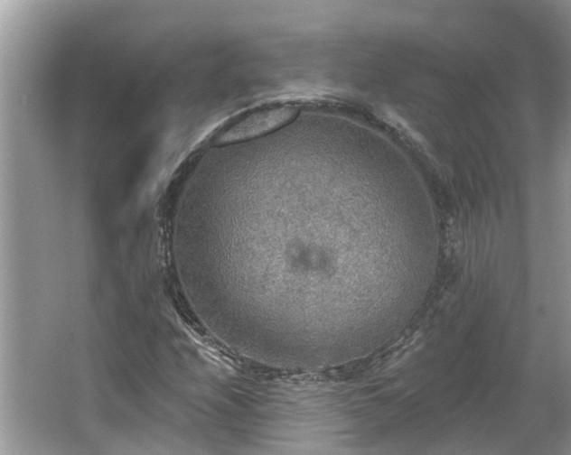 X0000067471208200604101150