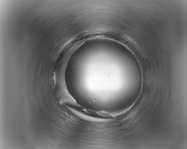 X0000067471210200604101150