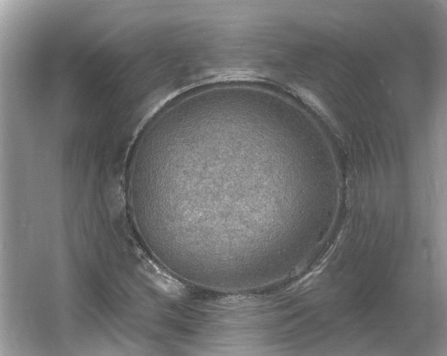 X0000067471212200604101150