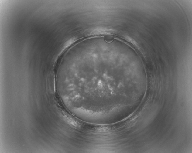 X0000067471219200604101150