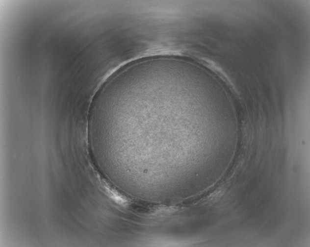 X0000067471220200604101150