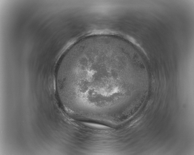 X0000067471221200604101150