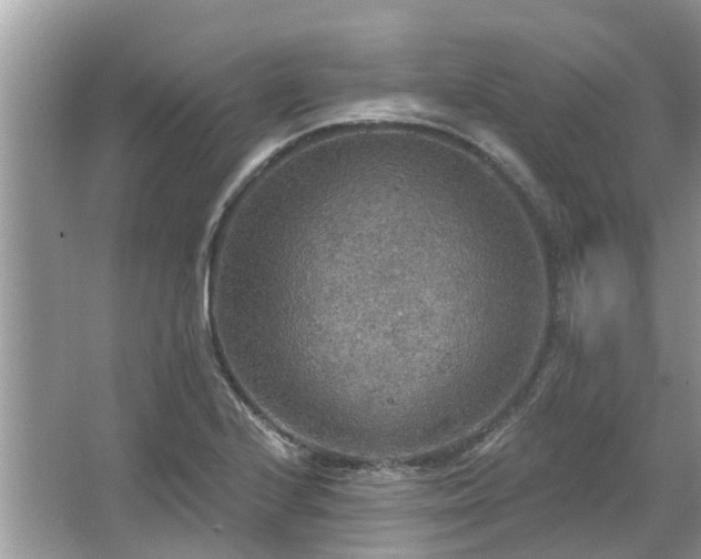 X0000067471224200604101150