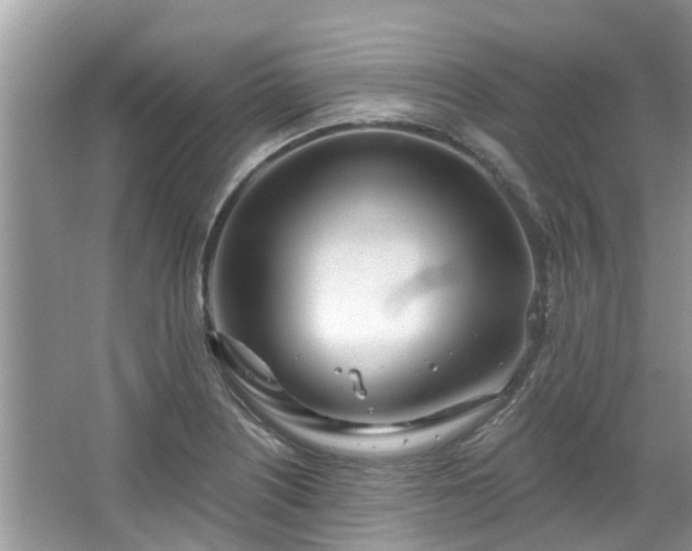 X0000067471226200604101150