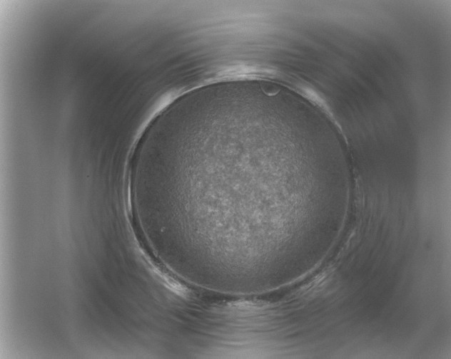 X0000067471227200604101150