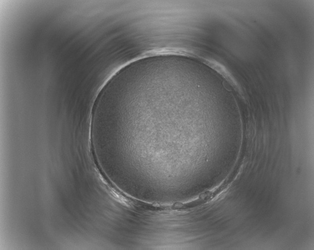 X0000067471228200604101150