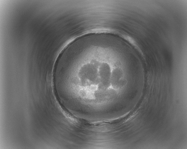 X0000067471229200604101150