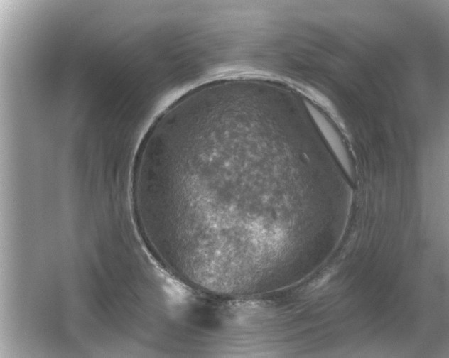 X0000067471231200604101150