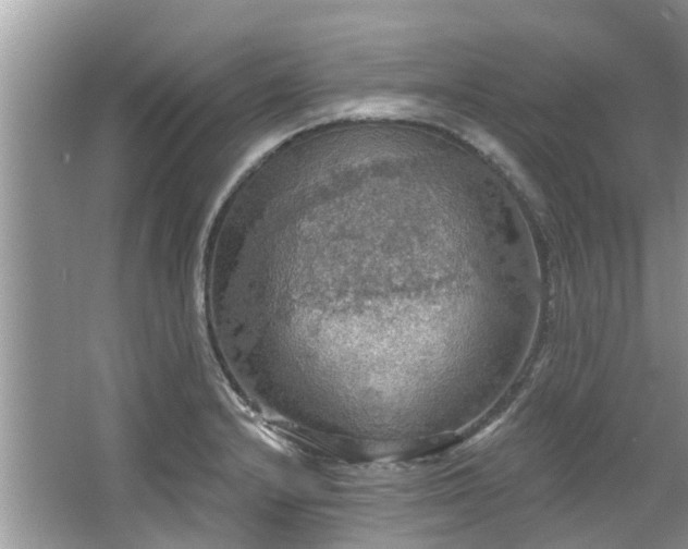 X0000067471232200604101150